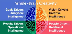 brain model in digital marketing process ( modello whole brain nel digital marketing)
